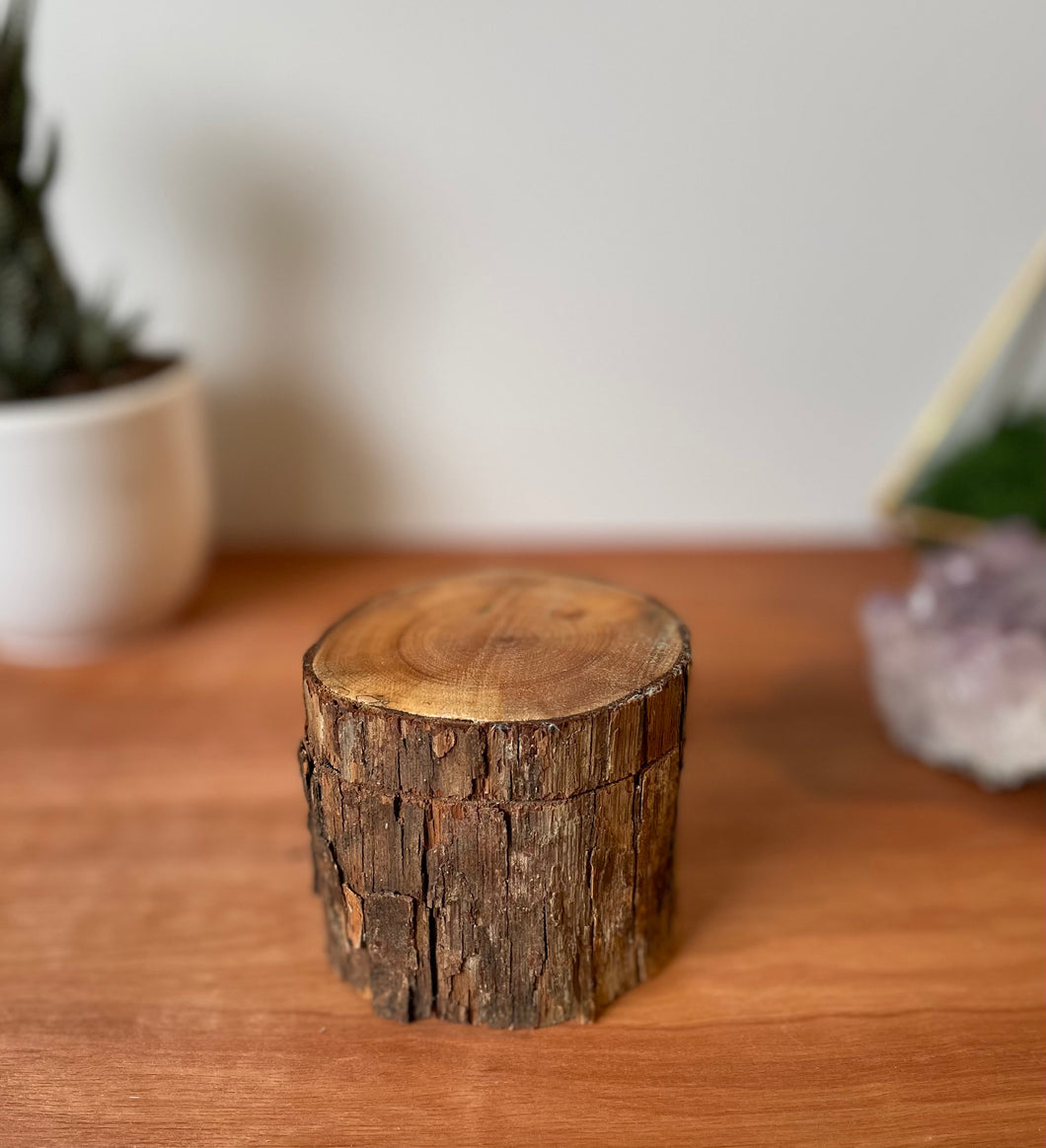 Wooden ring box-elm 4