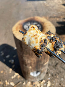 Fire log