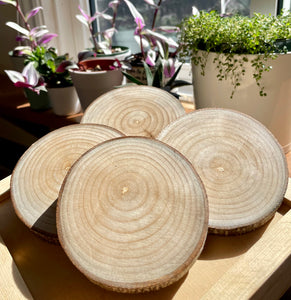 Tulip coasters (set of 4)