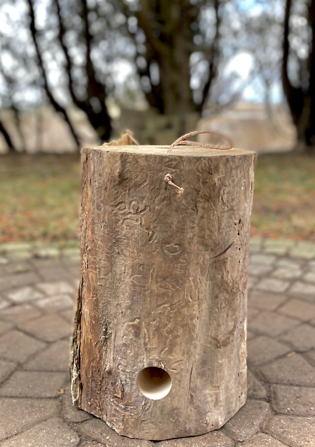 Fire log