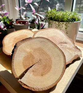 Red oak coasters (set of 4)