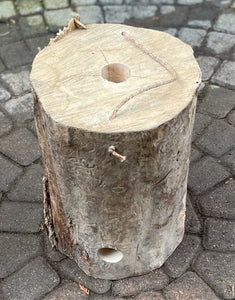 Fire log